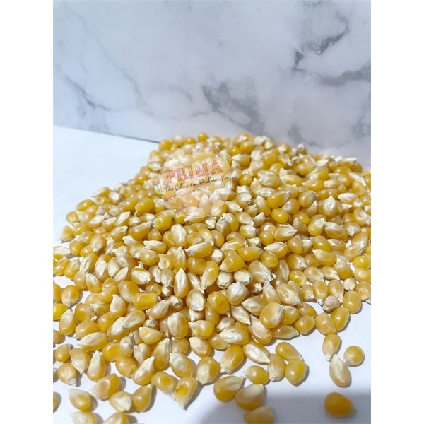 

Jagung popcorn mentah murah dan berkualitas 250gr