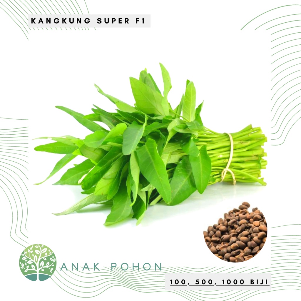 Benih Bibit Biji - Kangkung Super Unggul F1 Hibrida - Mudah Tumbuh - Panen Dalam 21 HST