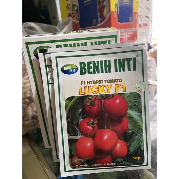 benih tomat Lucky Absolut F1 / F1 Hybrid tomato benih inti