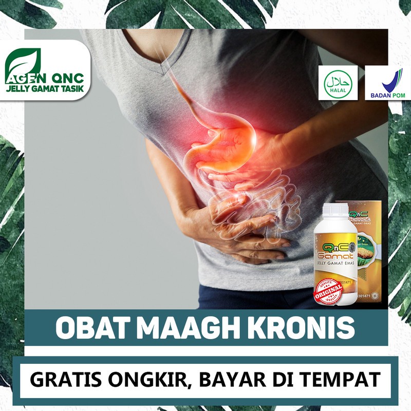 

Obat Maagh Kronis, Asam Lambung, Kolesterol, Kolestrol, Cair QnC Jelly Gamat Alami Bisa COD