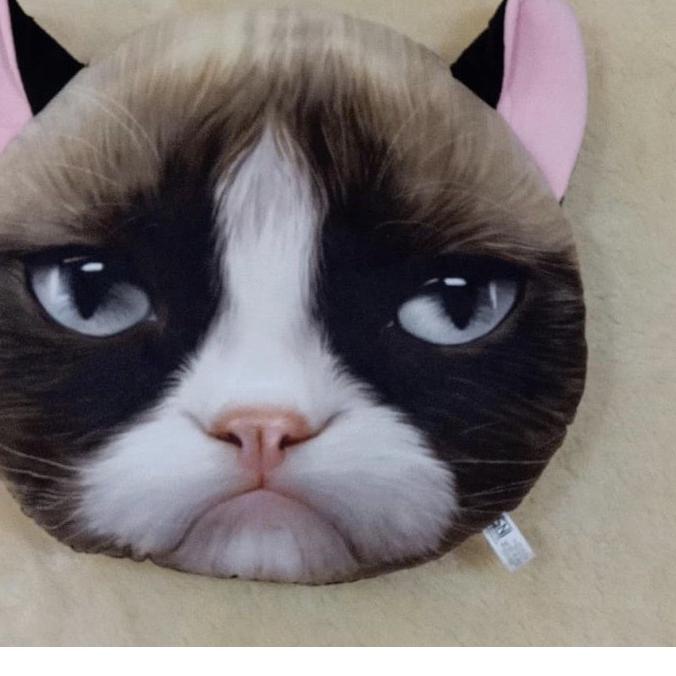 ➲ Bantal Kucing, Bantal Kepala Kucing, Cat Cushion ☊