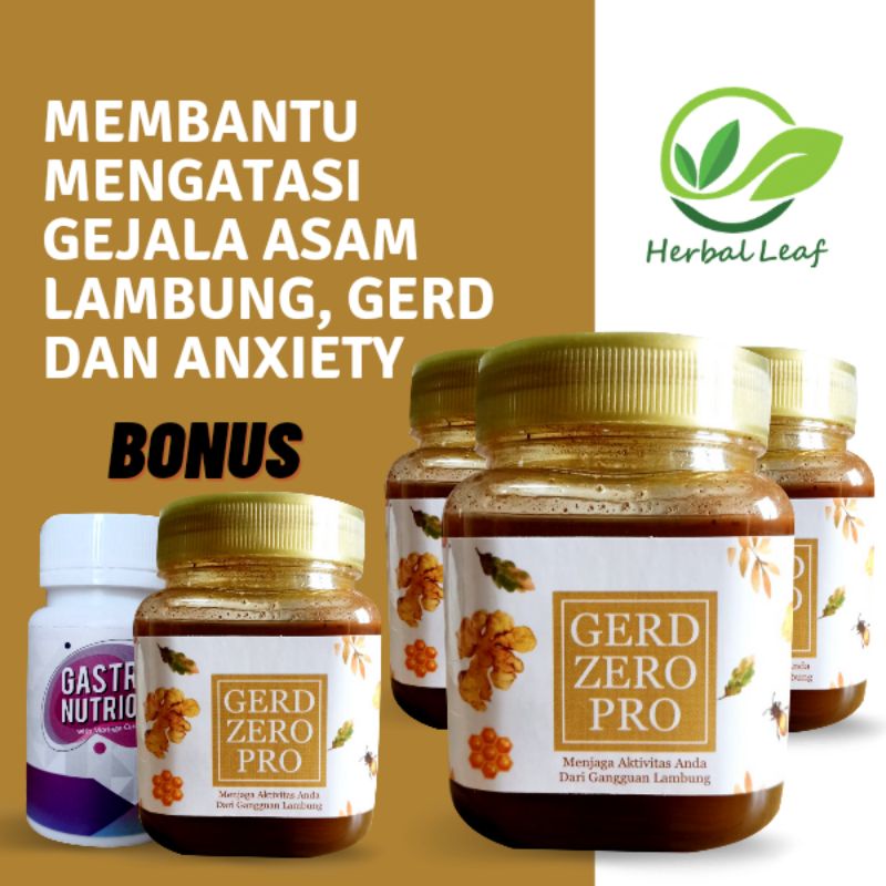 TERUJI Paket 1 botol Murni Gerd Zero Pro Obat Herbal Lambung  GERD ZERO PRO / OBAT ASAM LAMBUNG AKUT / GERD ANXIETY bermutu-2