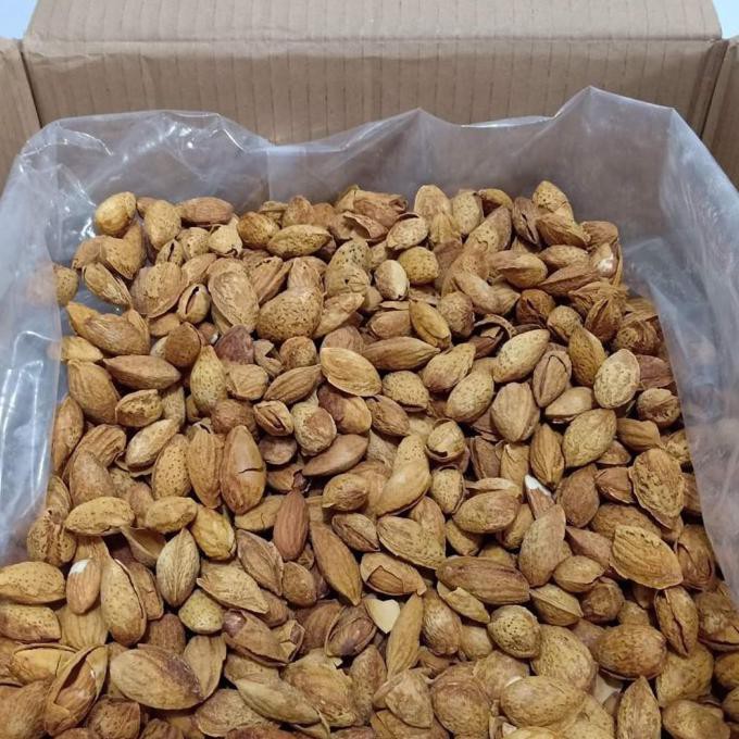 

Kacang Almond Panggang 10Kg Bibisale318