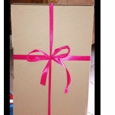 

kardus dan pita packing tambahan