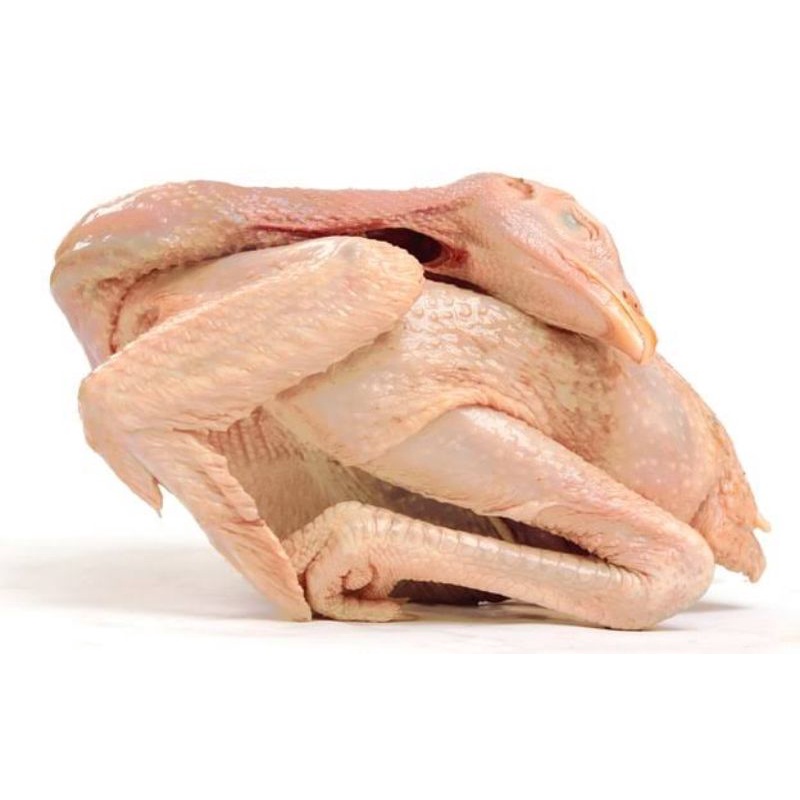 

Ayam Kampung Asli Fresh 700-800g