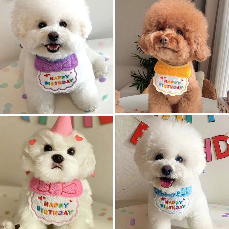 Set of Korea Barkday Bib &amp; Hat for Pet