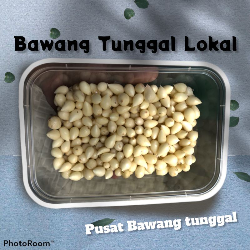 

Bawang Lanang tunggal bawang putih lokal bawang putih pusat bawang putih bawang lokal bumbu dapur