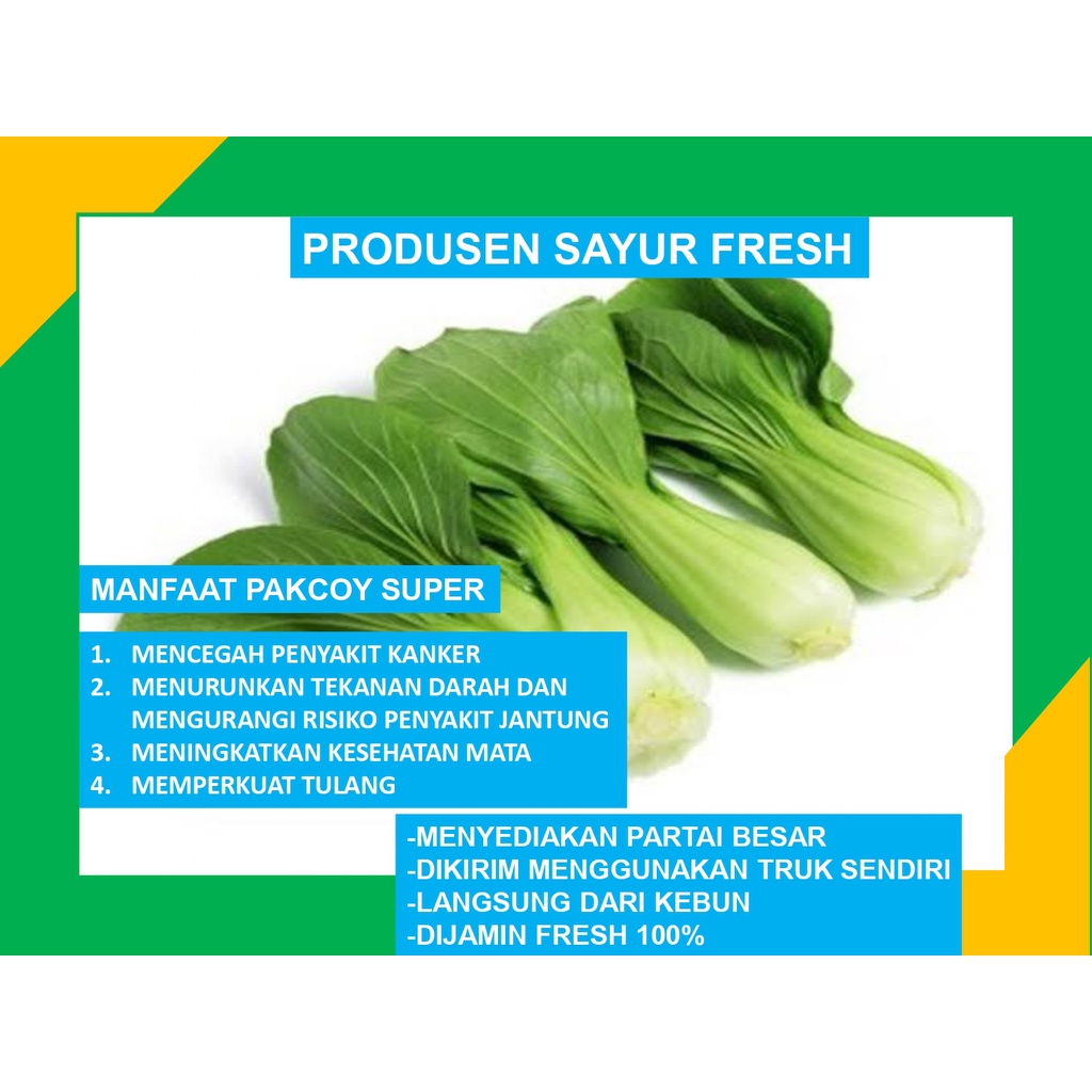

Pakcoy Super Fresh Box Langsung Dari Petaninya