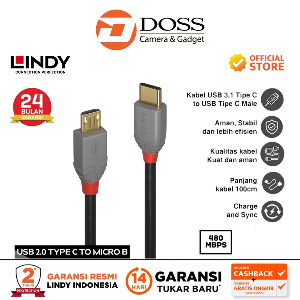 LINDY 36891 1M Kabel USB Type C to Micro USB DAC Cable 480Mbps