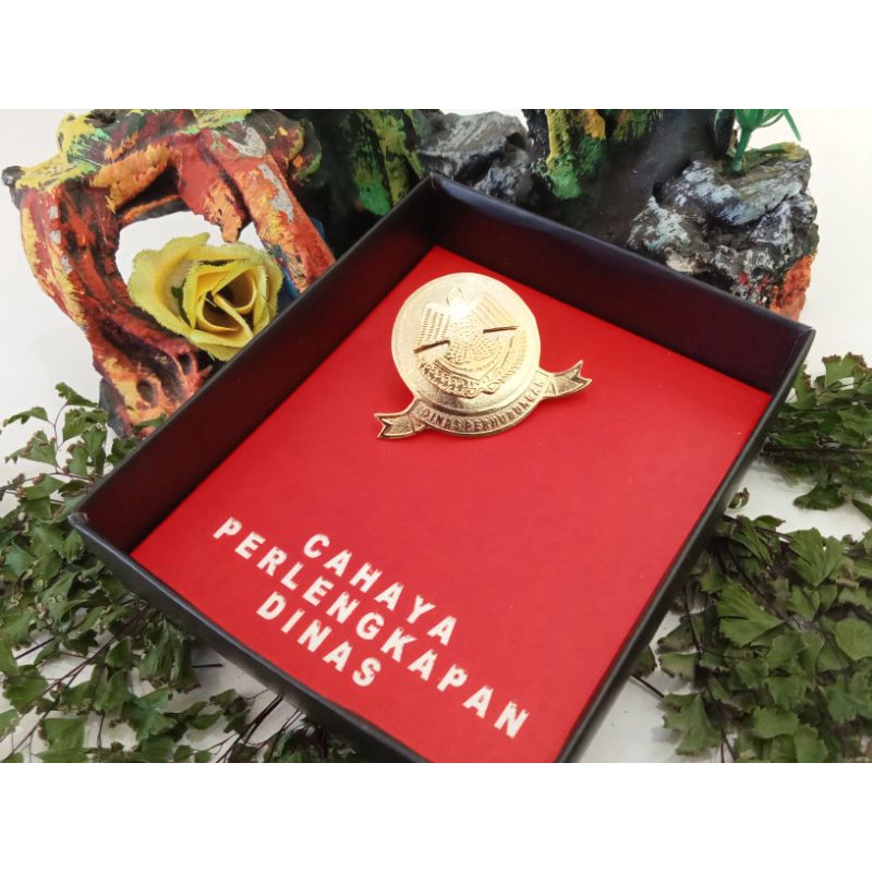 Pin Dinas Perhubungan