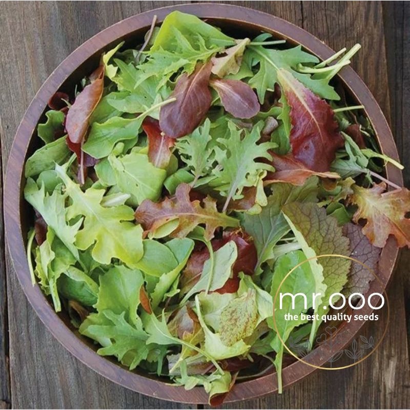 Benih Sayuran- Green Mixed - Mesclun Mix - 100 benih - Import USA