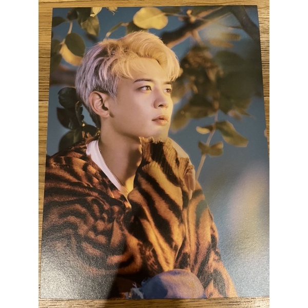 

SHINee Minho Atlantis Postcard