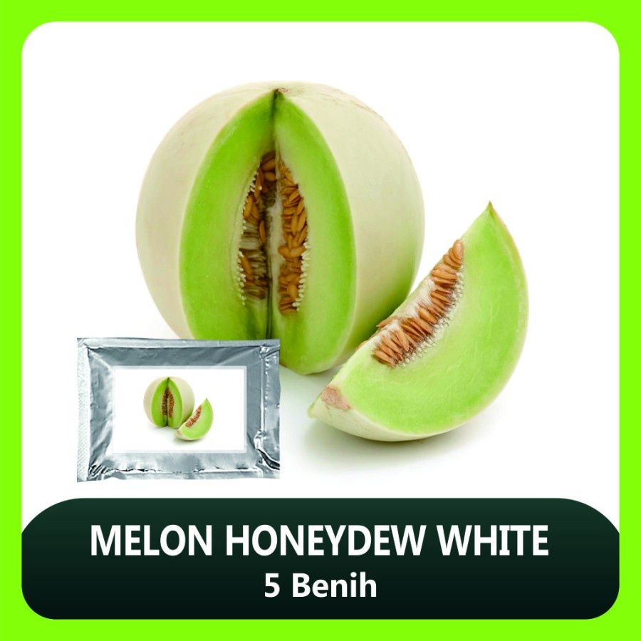 Melon Honeydew White 5 Benih