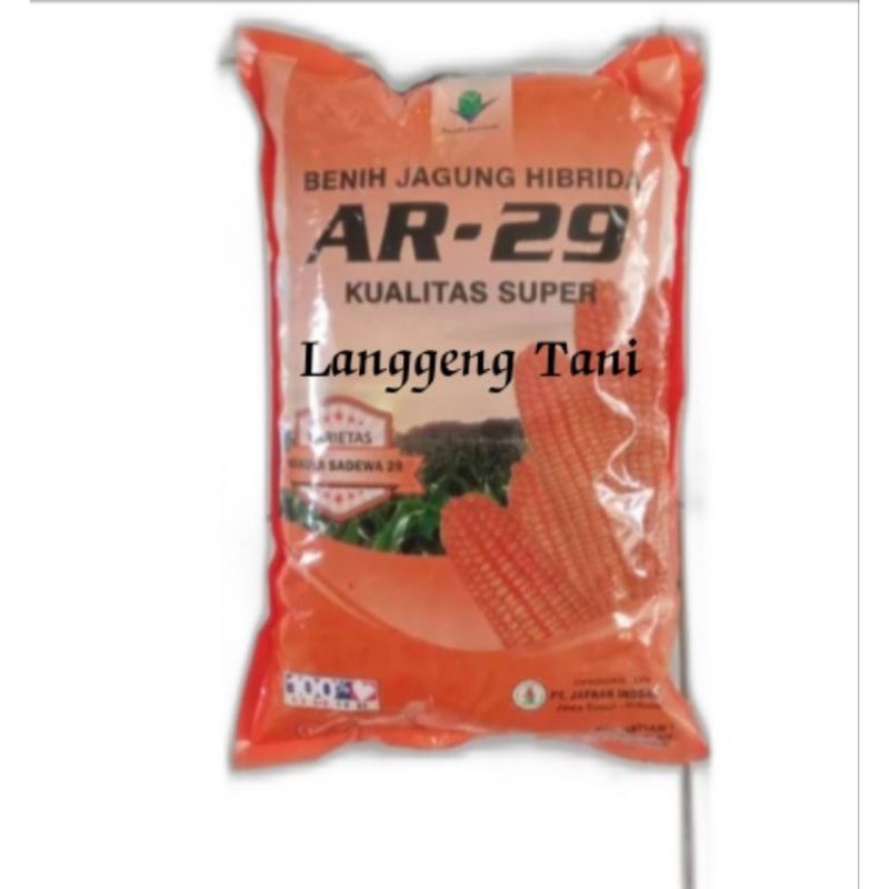 Benih jagung Hibrida AR 29