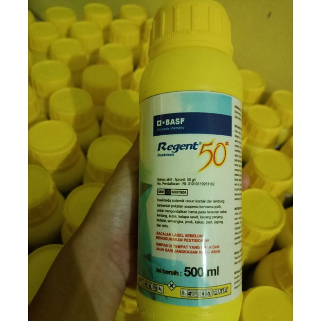 Regent 500 ml