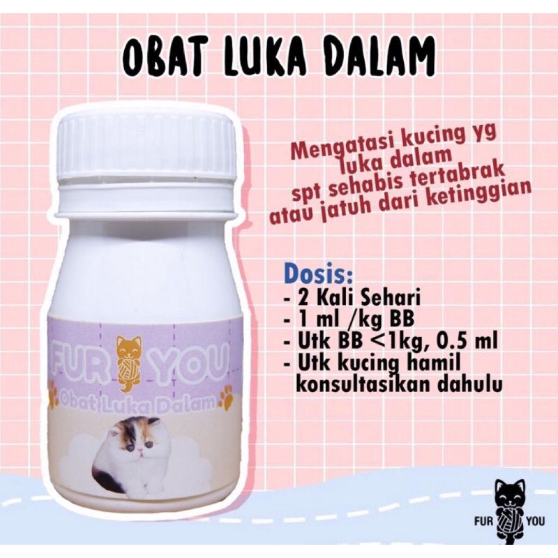 obat luka dalam kucing