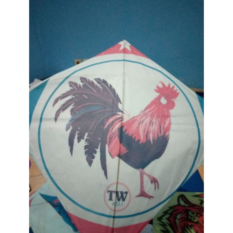 LAYANG LAYANGAN ADUAN BERBAGAI GAMBAR KARAKTER IKAN MACAM AYAM JAGO BULLGOD CAP TW ASLI BOGOR
