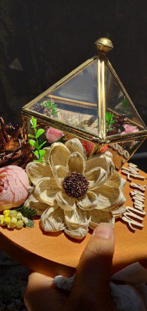 Ring Box Terrarium S6 Pentul 2in1