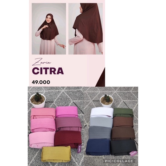 elzatta zaria citra