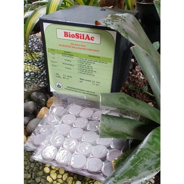 PUPUK BIOSILAC BIO SILICIC ACID SILIKA TABLET MENINGKATKAN PRODUKTIVITAS TANAMAN