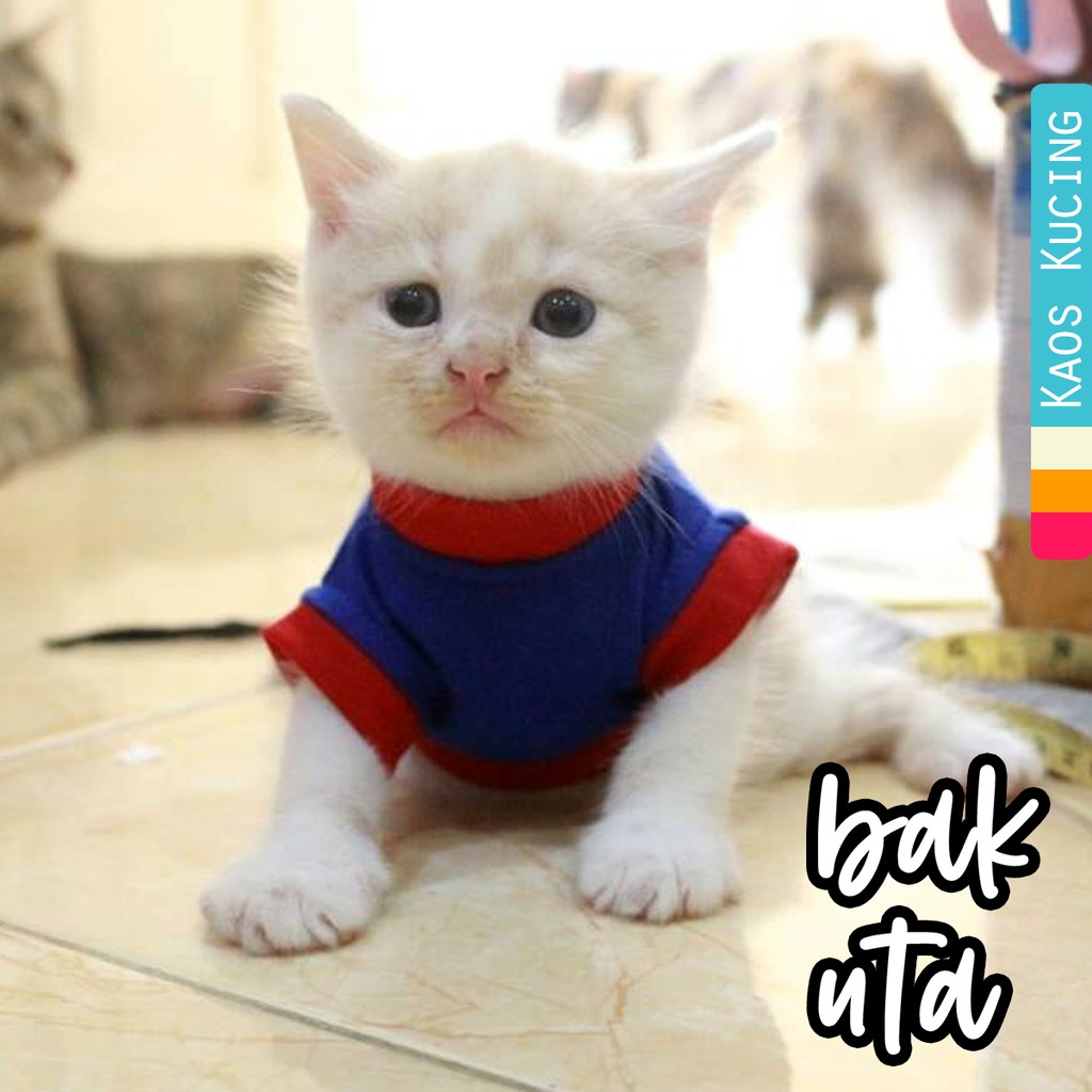 Kaos imut warna biru merah lucu untuk kucing dan anjing / baju kucing murah terlaris size S M L XL