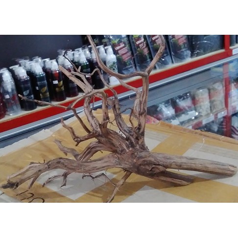 Kayu Aquascape Akar Rasamala Size S Dekorasi Hiasan untuk Aquarium 1pc