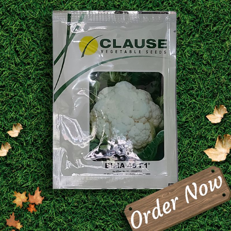 BENIH BUNGA KOL BIMA 45 F1 CLAUSE