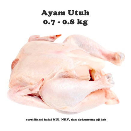 

Ayam Utuh ukuran 0,8kg