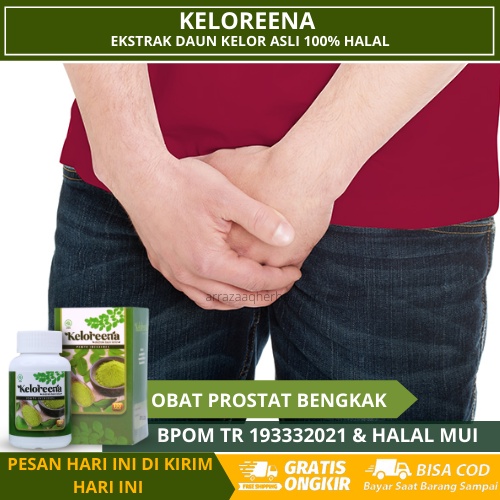 Jual Obat Herbal Prostat Bengkak Gangguan Prostat Radang Prostat