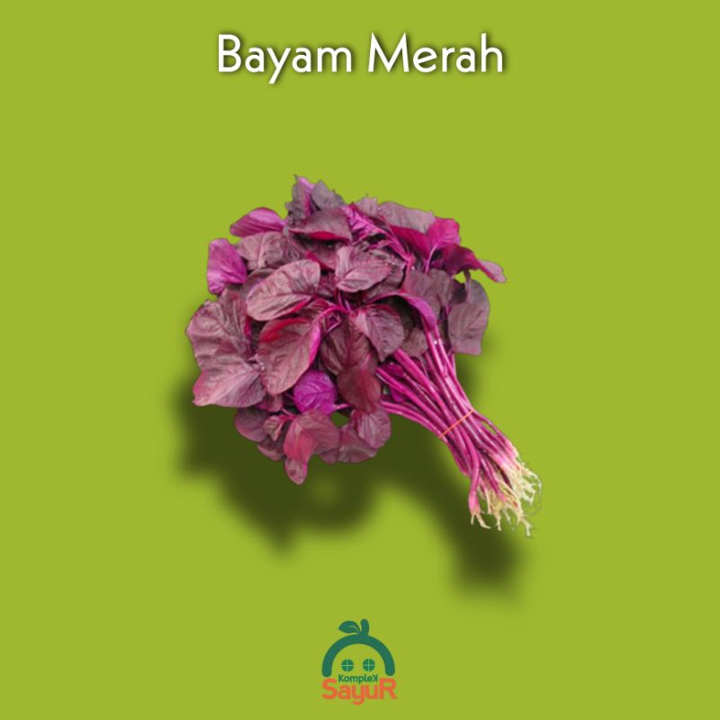 

Bayam Merah Segar 1 Ikat
