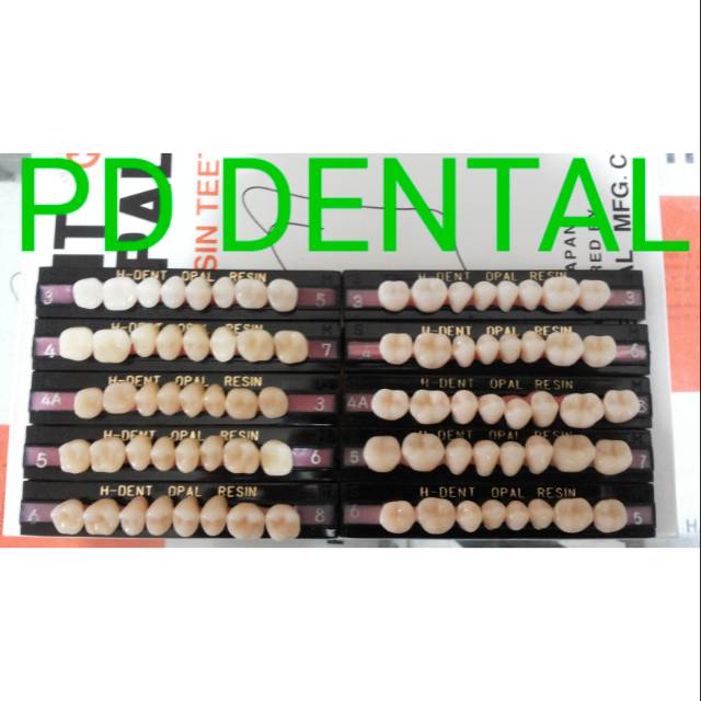 GIGI PALSU OPAL H-DENT GRAHAM/POSTERIOR ATAS atau BAWAH