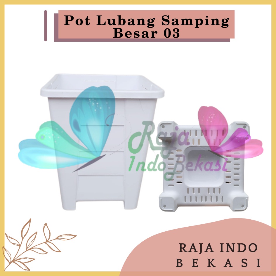Sekarganes Pot Kotak Tinggi Lubang Samping Besar 03 Putih Pot Aglonema Kaktus Besar Tinggi Murah 15 