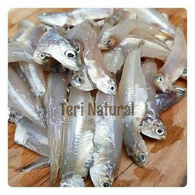 

Teri natural 1 pack 250gr