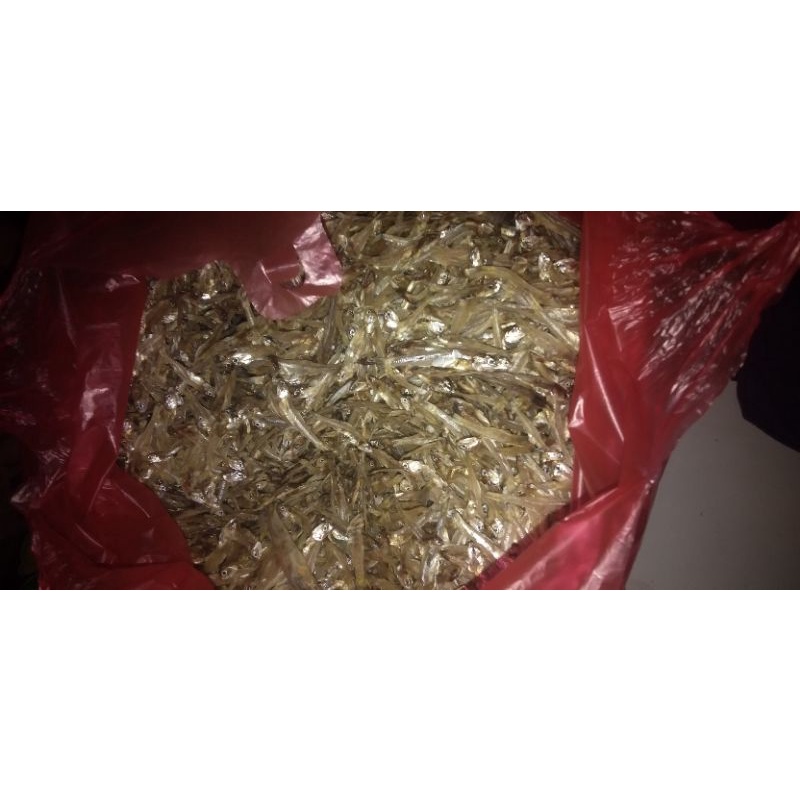 

IKAN GESEK TERI TAWAR