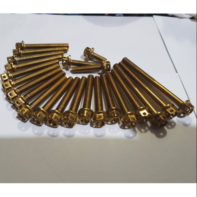 Baut probolt kopling dan magnet Tiger revo gold