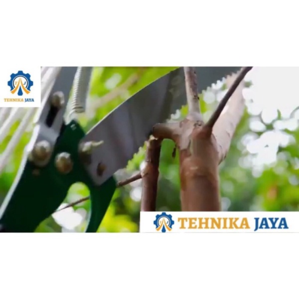 Jual Pertukangan Tasc   o Gergaji Dahan Gunting Galah Tree Pruner Gergaji