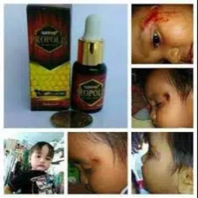 Propolis sunpro NASA original