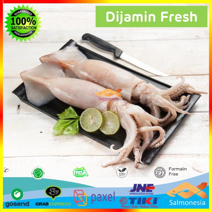 

Premium Seafood Cumi Bangka Besar by Salmonesia 2 Kg