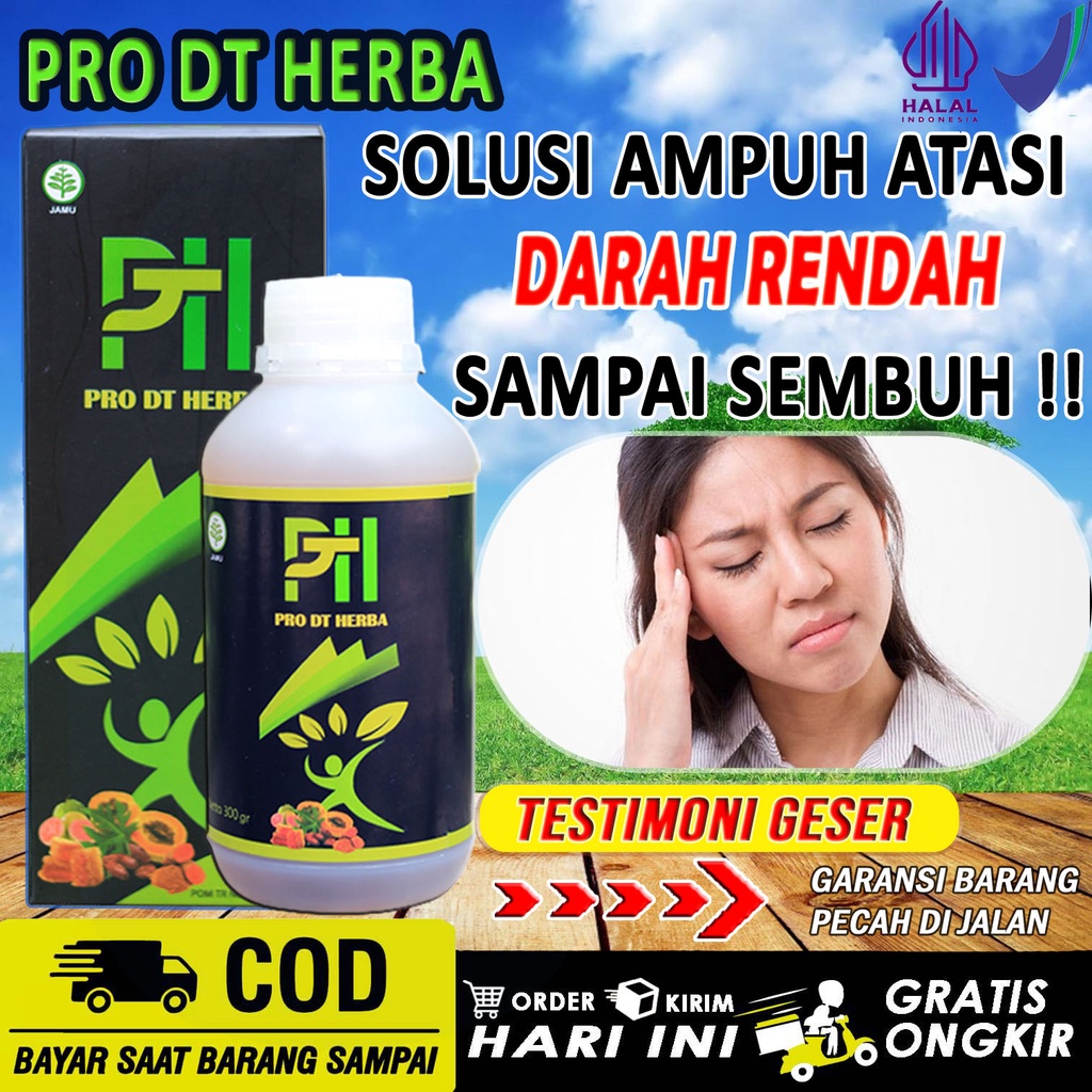 Pro DT Herba Obat Darah Rendah Kurang Darah Pusing Lemas Mual Pingsan Pandangan Buram Herbal Paling 