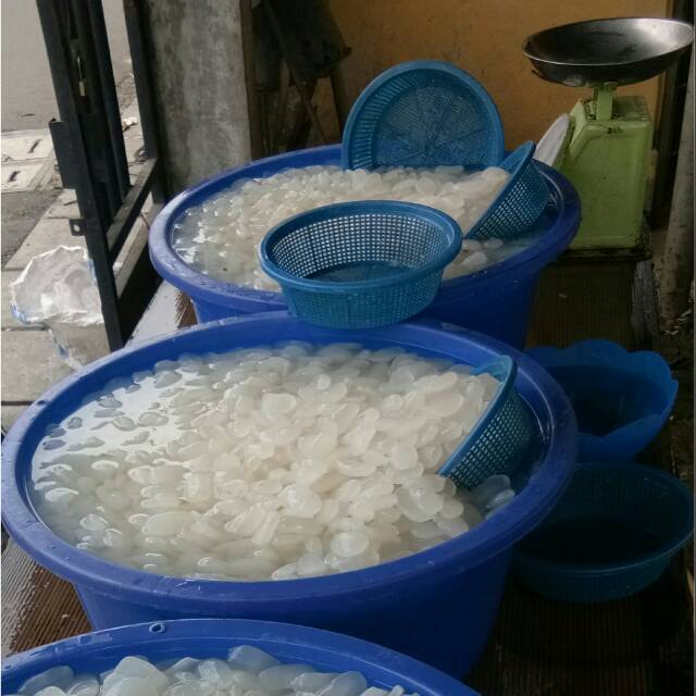 

Kolang Kaling ParJoglo