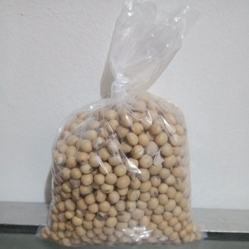 

kacang kedelai