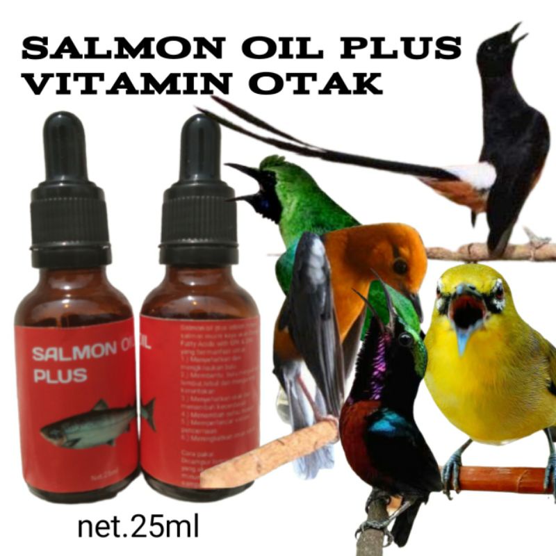 vitamin burung/vitamin otak burung/salmon oil plus/minyak ikan salmon murni
