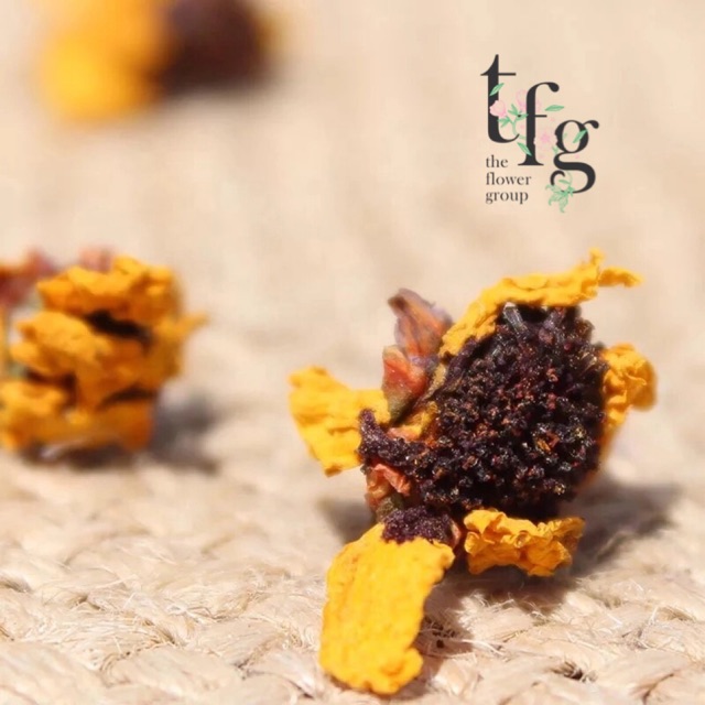 

50gr - Dried Snow Chrysanthemum Flower Tea - Daisy Chrysanthemum - TFG tea