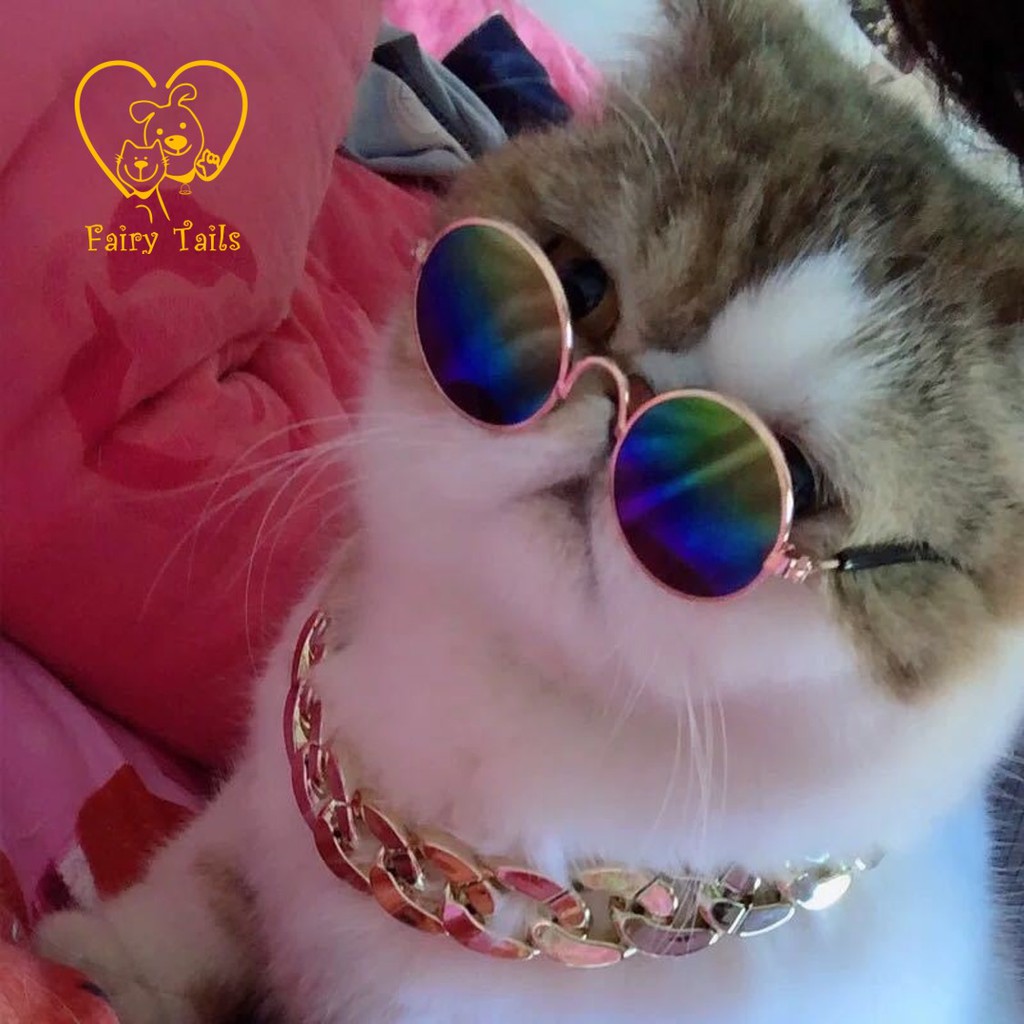 Kacamata Gaya Sunglasses Untuk Anabul Anjing dan Kucing