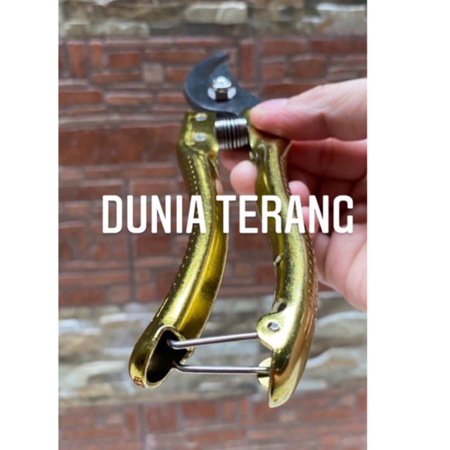 Gunting Dahan 8'' 8inch Stek Ranting Tanaman Bunga Stainless Steel - MASSAKI TYPE : 6807