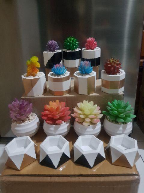 Hiasan Kaktus Palsu, Seculen Artifisial, Kaktus Imitasi