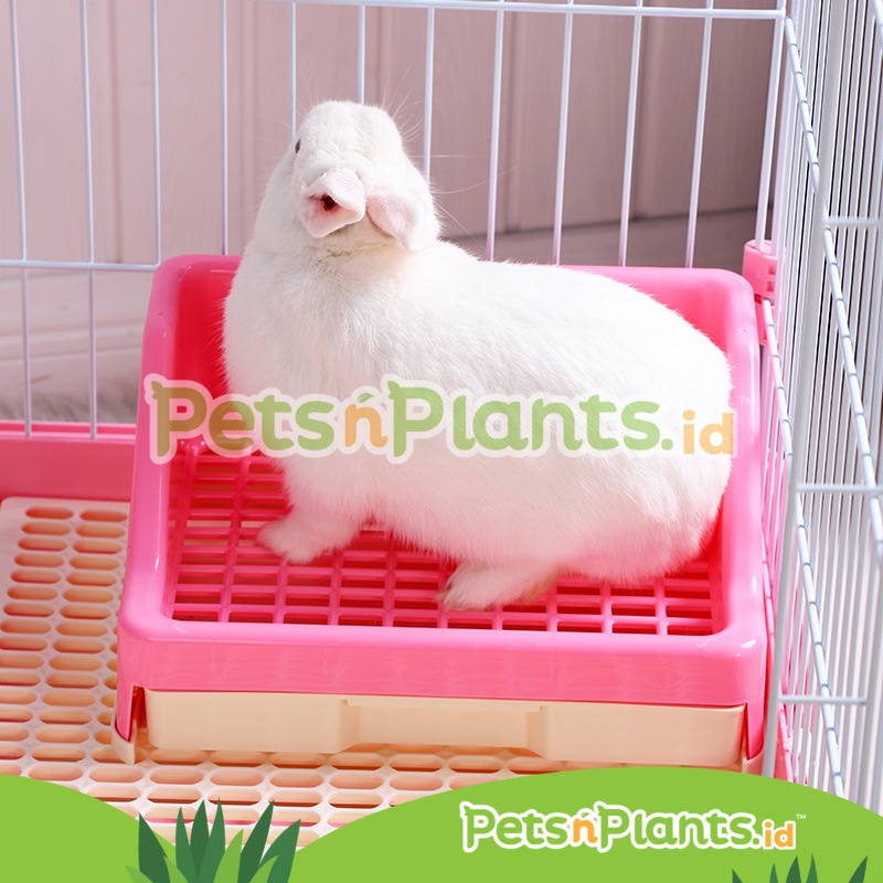 Pet Litter Toilet Kelinci Potty Box - Pakai Tray Laci Mudah Dibersihkan - Premium Quality