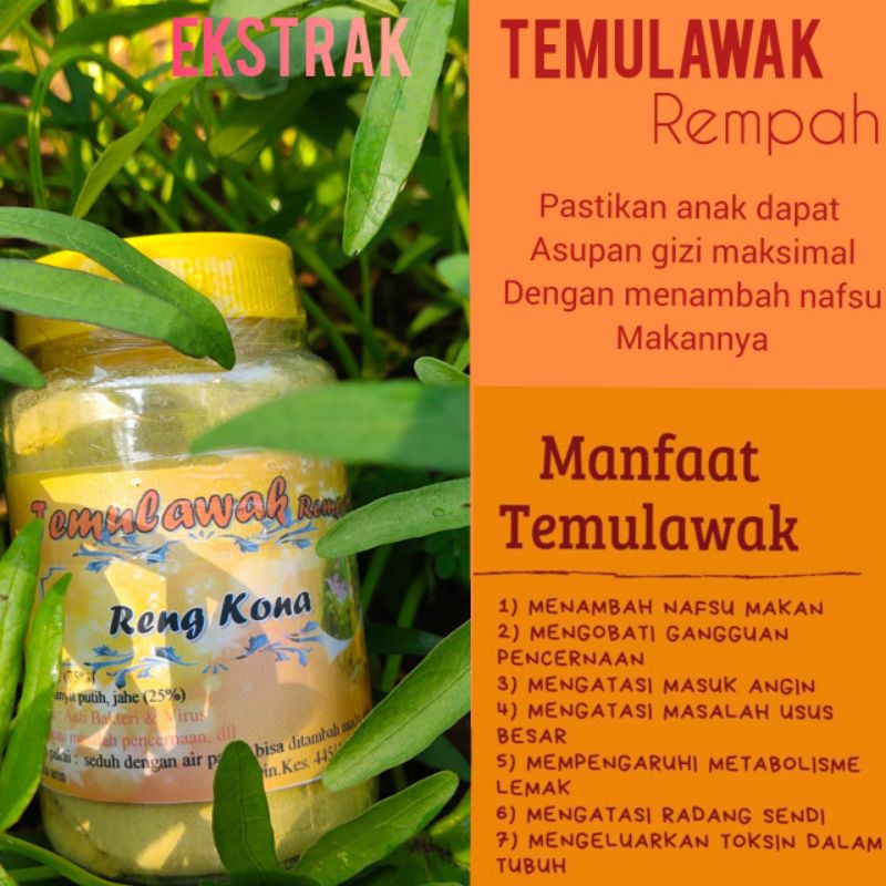 

temulawak rempah