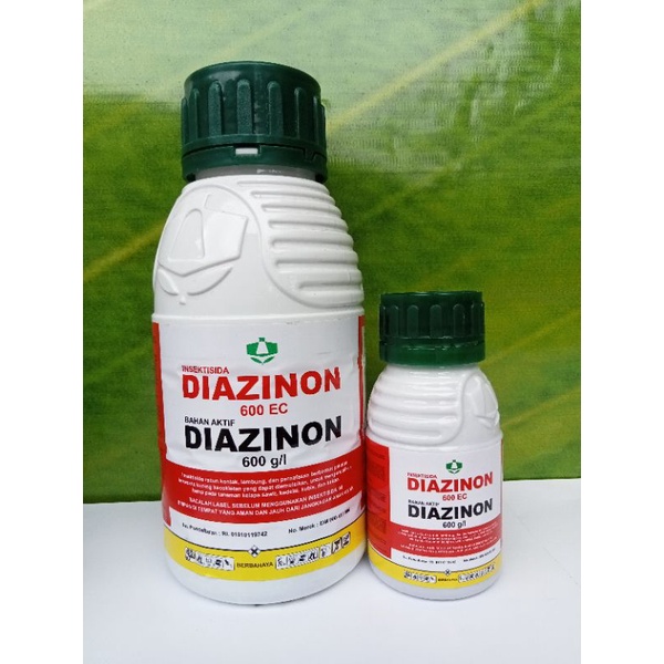 Diazinon 600 EC Insektisida