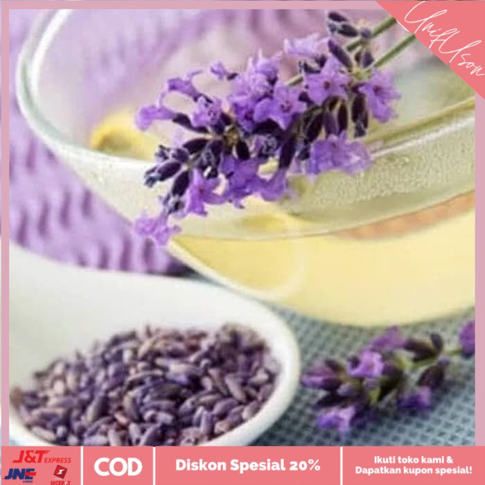 

⭐COD⭐ Lavender 500 gram / teh bunga lavender / 薰衣草